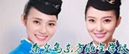 本站按公开材料组织页面
