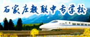 可按栏目继续浏览相关条目